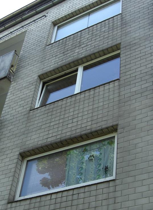 Fenster in Mehrfamilienhaus